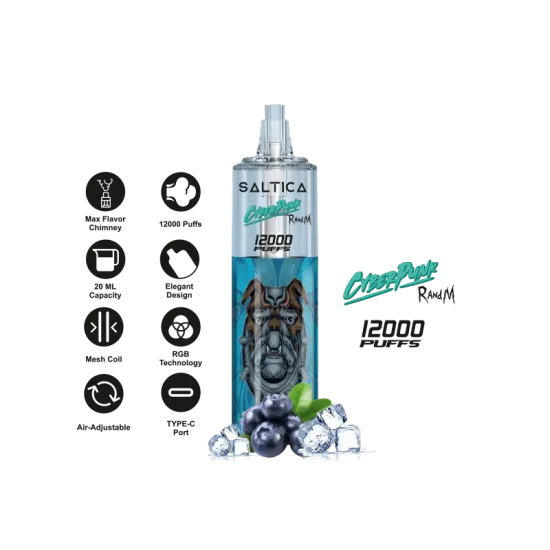 Saltica Cyberpunk 12000 Puff Saltica Cyberpunk 12000 Puff
