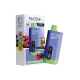 Saltica Digital 10000 Puff Saltica Digital 10000 Puff