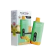 Saltica Digital 10000 Puff Saltica Digital 10000 Puff