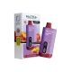 Saltica Digital 10000 Puff Saltica Digital 10000 Puff